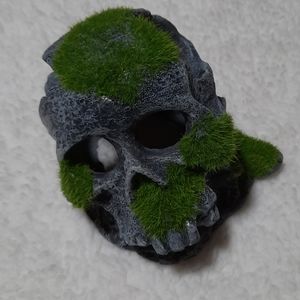 Lot of Fish Aquarium Supplies & Decorative